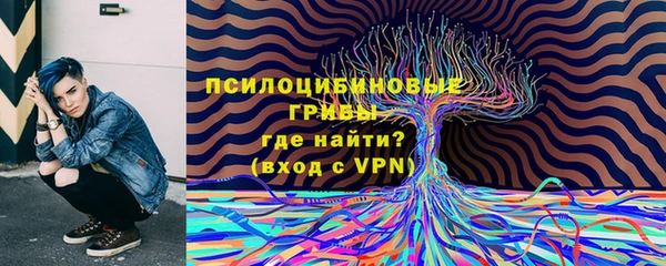 PSILOCYBIN Кинешма