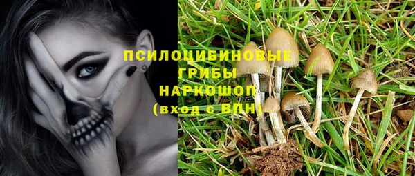 твердый Киренск