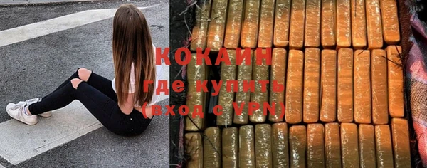 гидра Козельск